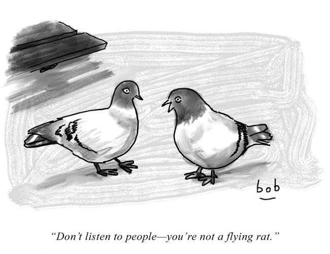 pigeon cartoon by Bob Eckstein