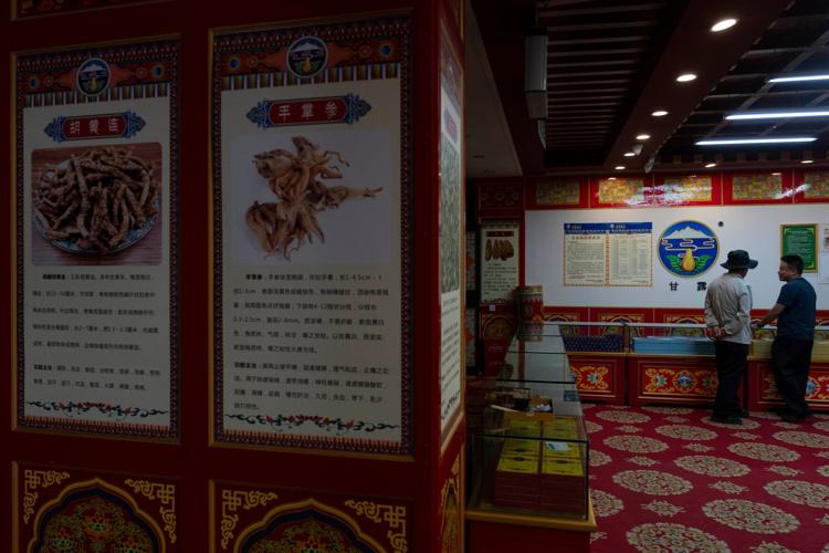 China Tibetan Medicine Photo Gallery