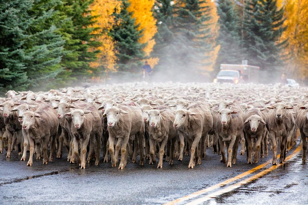 Idaho Towns Have To Be Creative To Increase Tourism Experts Say State Idahostatejournal Com