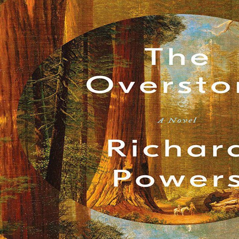 The Overstory By Richard Powers Weaves A Great Story Books Idahostatejournal Com