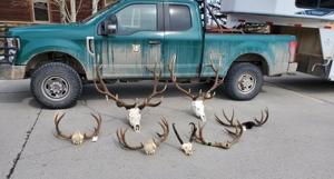 Idaho Falls man will serve jail time in Wyoming for poaching