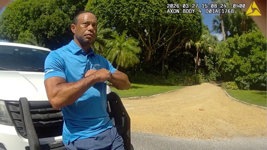 Tiger Woods Golf