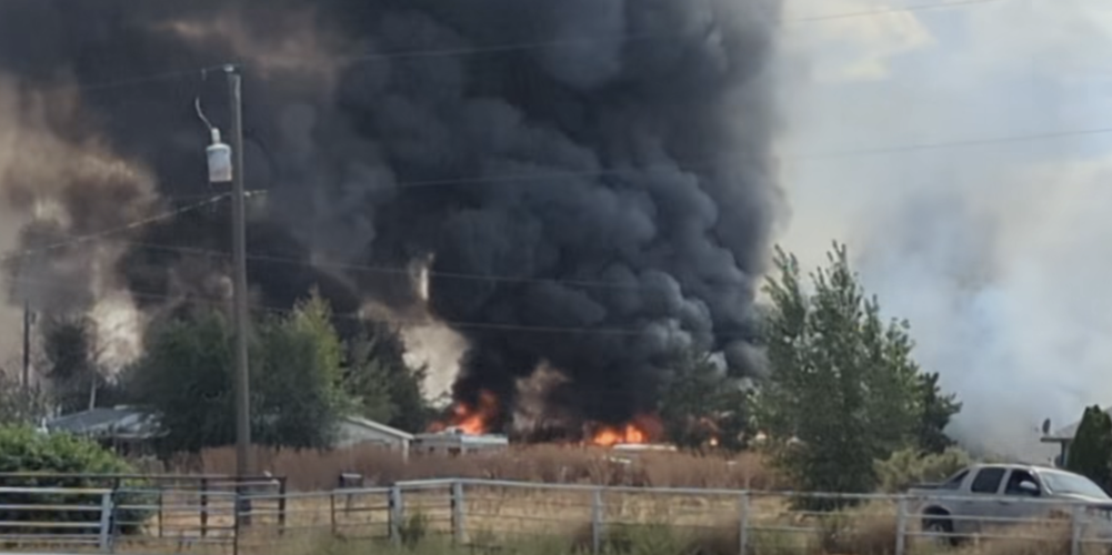 Wildfire