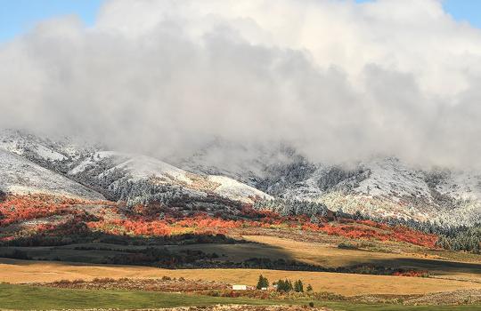 Pocatello sets cold record, expects to break another record Friday morning | Local