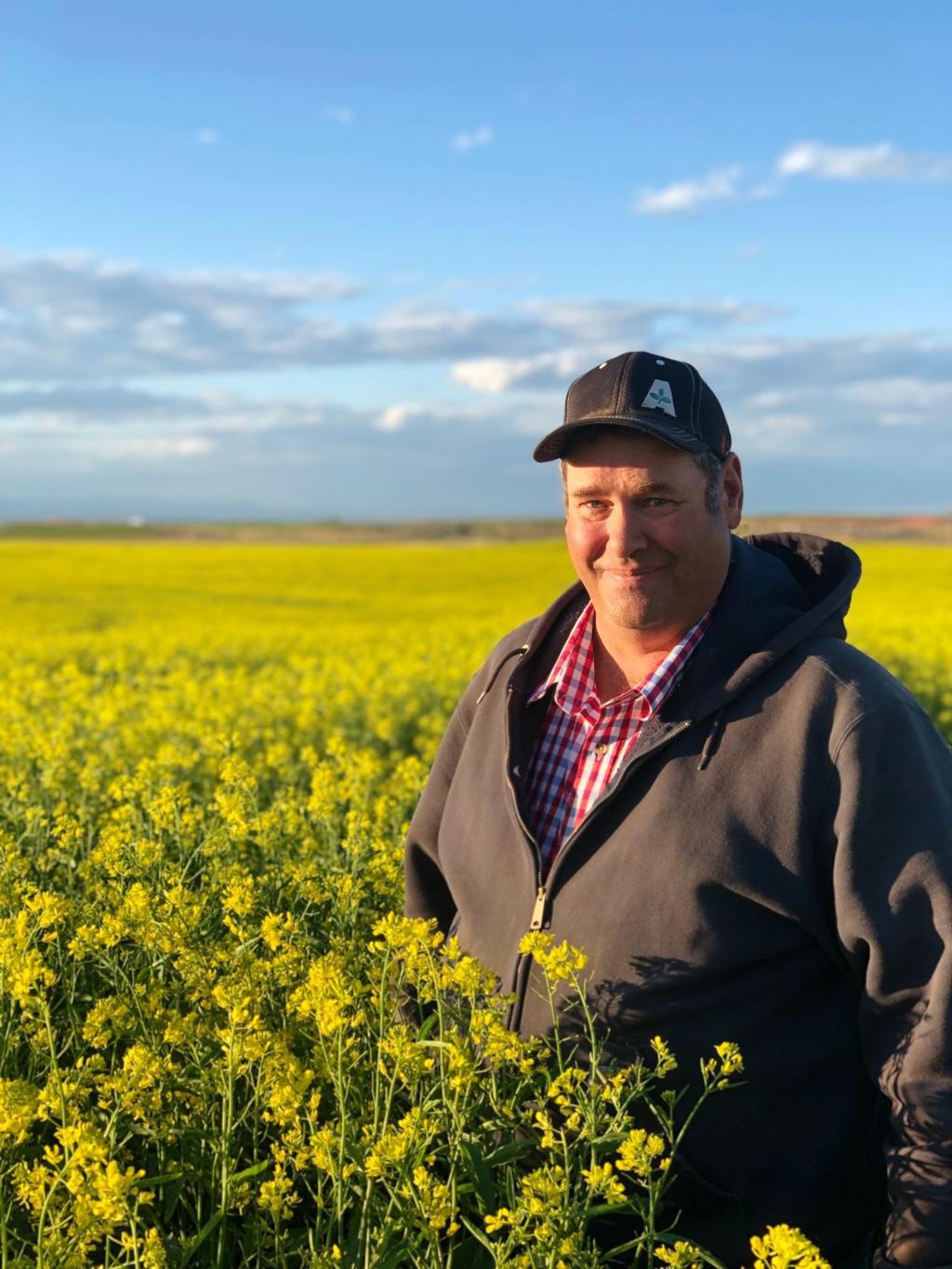 Hamer Farmer First In U S To Commercially Raise New Mustard Type Agriculture Idahostatejournal Com Hamer Farmer First In U S To Commercially Raise New Mustard Type Agriculture Idahostatejournal Com