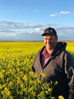 Hamer farmer first in U.S. to commercially raise new mustard type