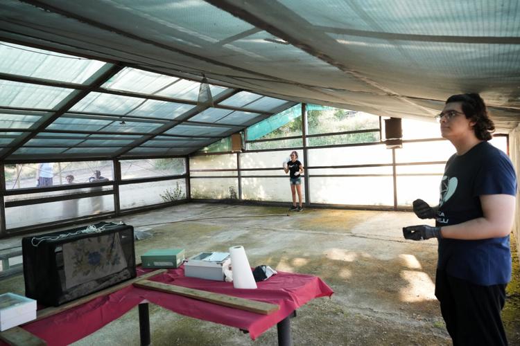 Volunteers work to protect displaced bats at an Italian Bat Conservation, in photos