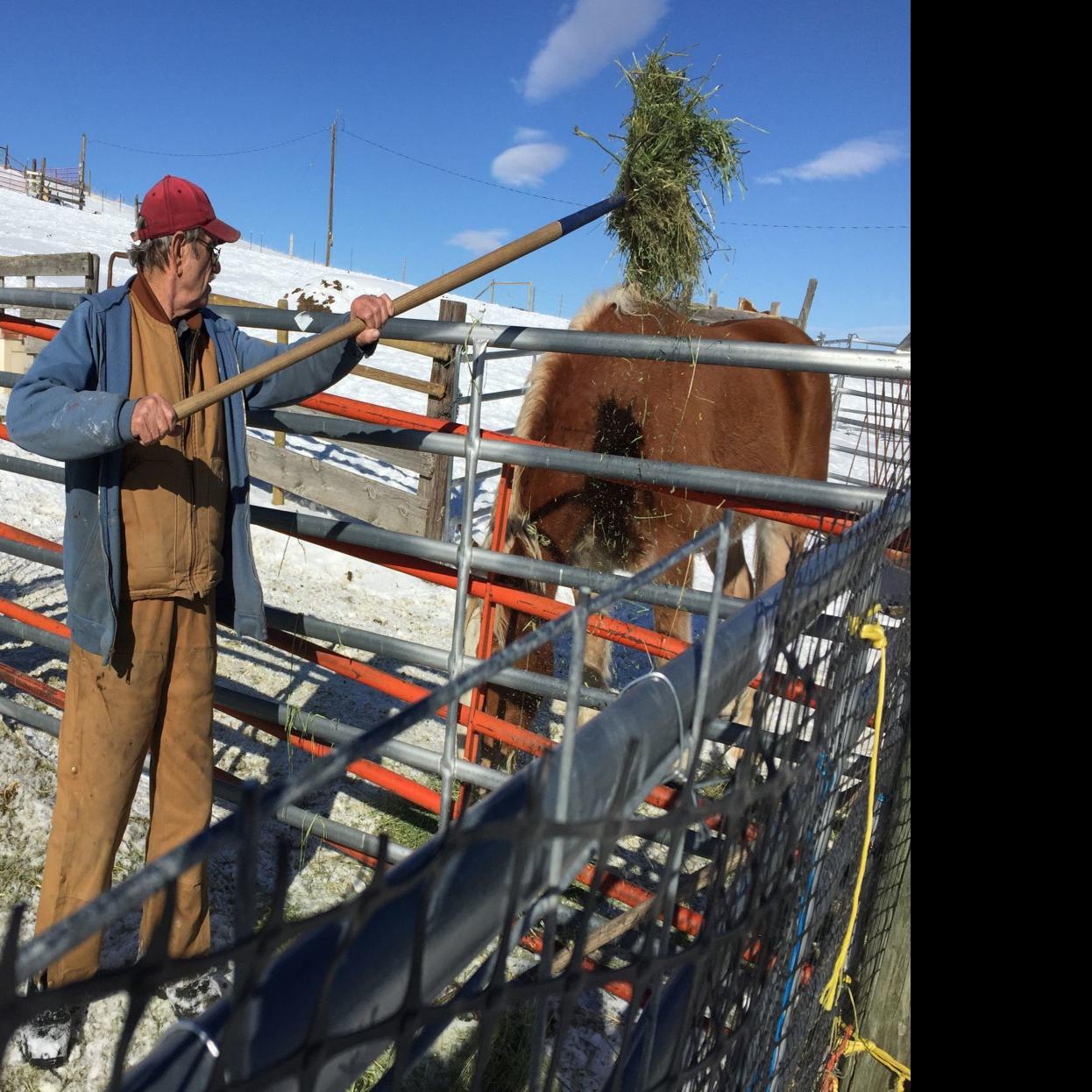 Winter Fun On The Ranch Lava Hot Springs Couple S Farm And Ranch