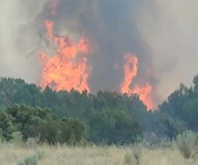 Wildfire in Oneida County