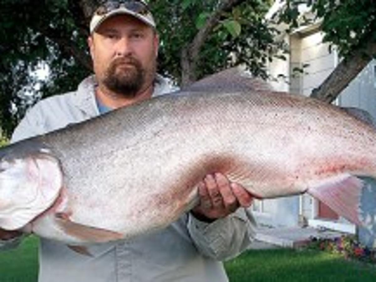 Pocatellan catches world record cutbow trout at A.F. Reservoir