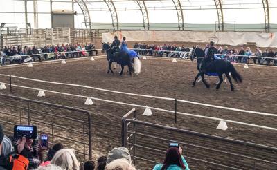 royal horses2