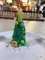 Pocatello Mayor’s Youth Advisory Council invite public to pick up Christmas tree cone making kits