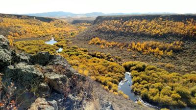 Willow Creek