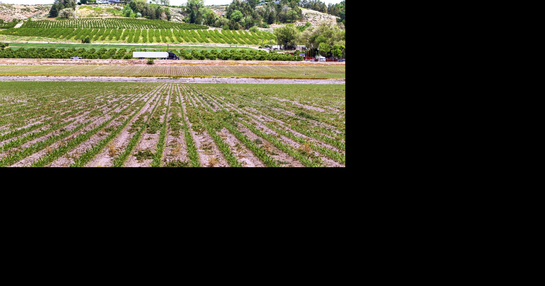 USDA chief outlines plan to block China from U.S. farmland ownership ...