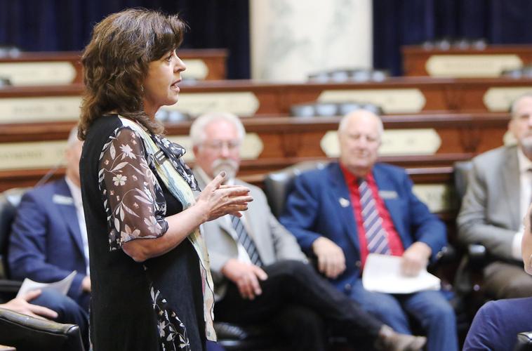 State Legislators unofficial Special Session
