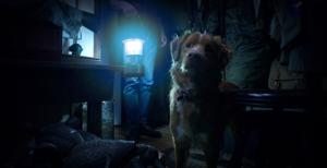 Montana State assistant professor’s dog Indy makes history in horror film genre