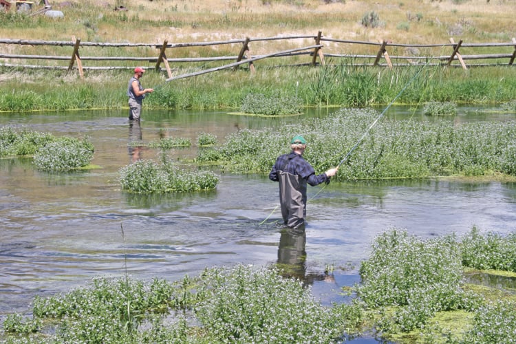 High noon at the Portneuf