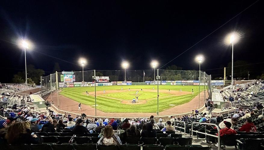 Melaleuca Field