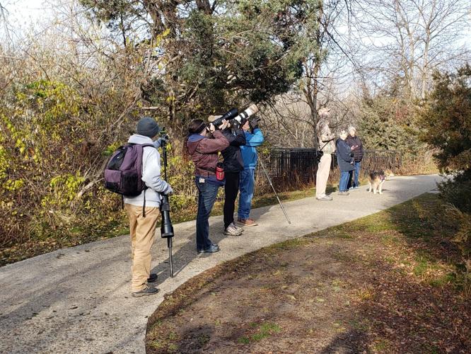 birders in Kathryn Albertson Park by Terry Rich.jpg