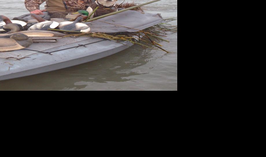 Duck decoys