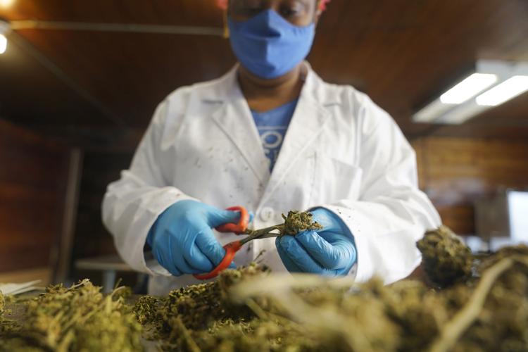 Hemp Growers