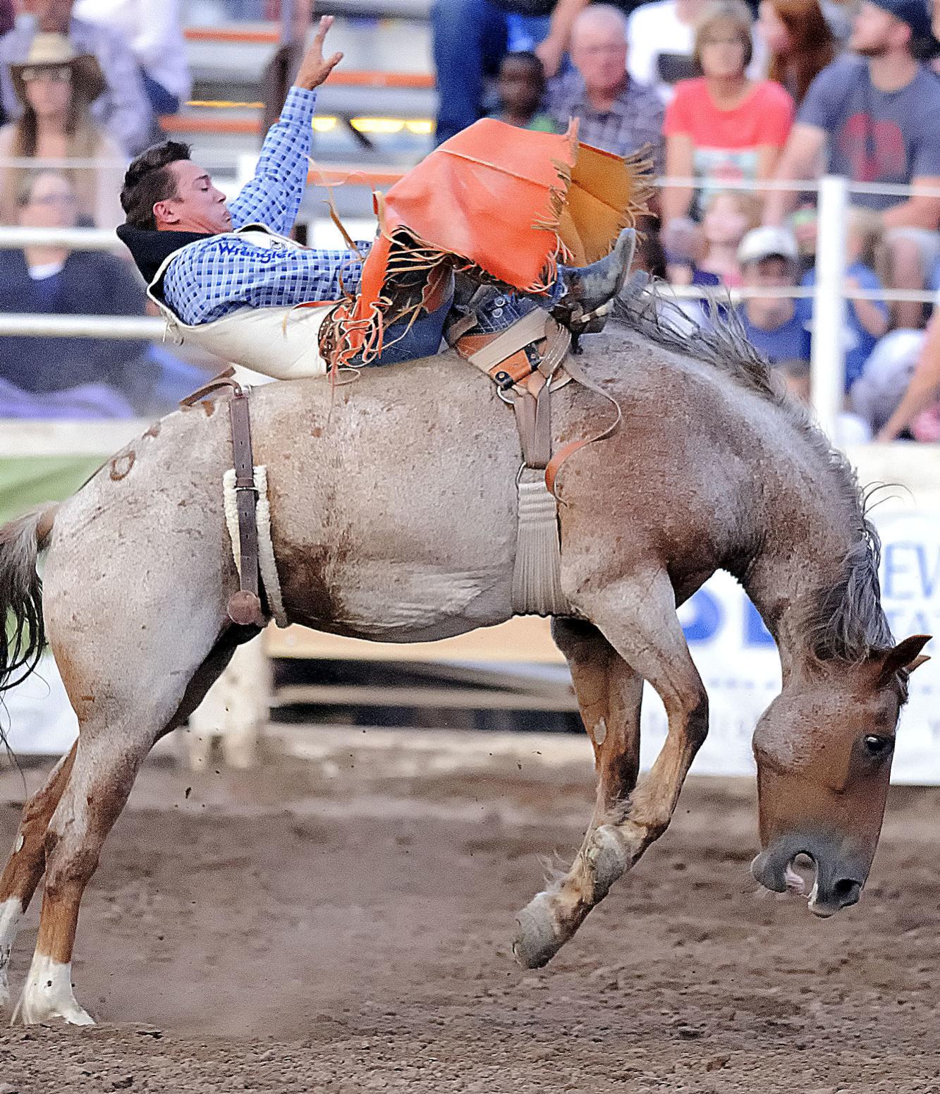 That Famous Preston Night Rodeo starts 84th year on Thursday Local