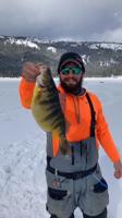 Idaho lake produces another state record perch