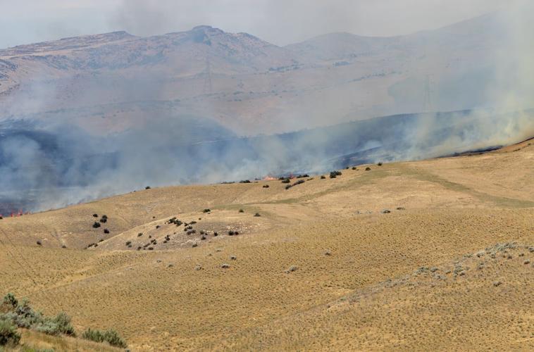 Foothills Fire