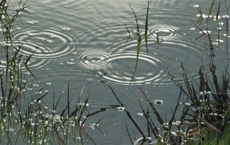 ripples