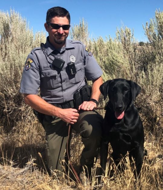 PAW PATROL: Fish and Game uses trained K9s wildlife crimes | Local idahostatejournal.com