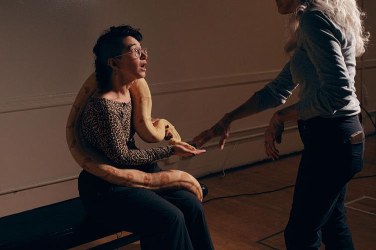 Photos show snakes auditioning for a role at New York’s Metropolitan Opera