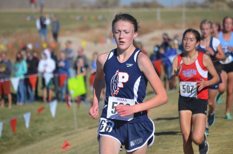 Bailey Bird Pocatello