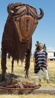 Southeast Idaho artist to be honored posthumously at Eastern Idaho State Fair