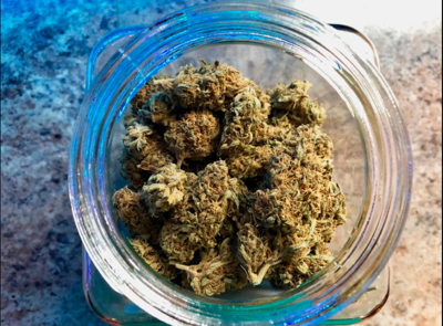 Idaho's medical cannabis showdown