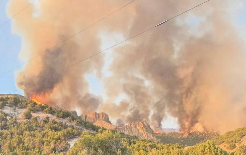 Wildfire