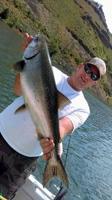 Nicholson salmon record