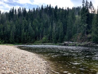 Selway Falls