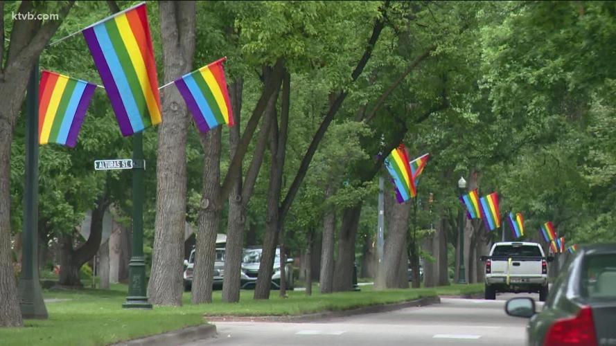 Harrison Pride flags (copy)