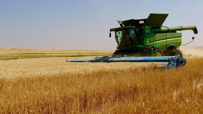 LDS farm