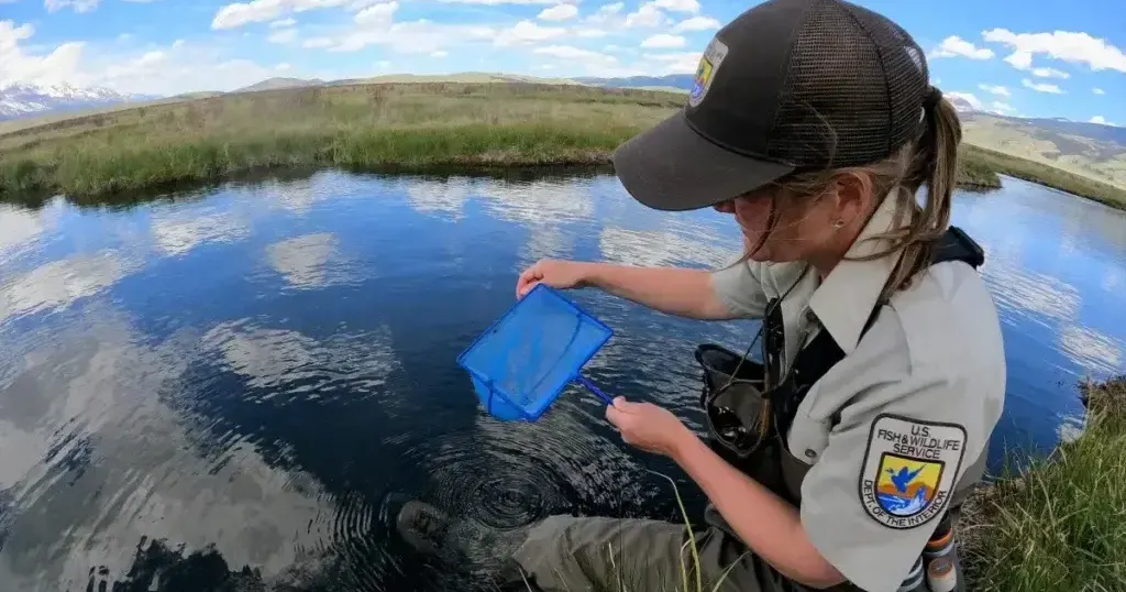 US Fish and Wildlife staff down more than a third nationwide, 35 percent in Idaho since Trump 2.0