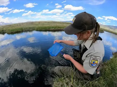 U.S. Fish and Wildlife Service cuts