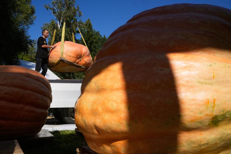 The top photos of the day by AP's photojournalists