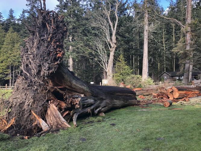 State Park Damage 02
