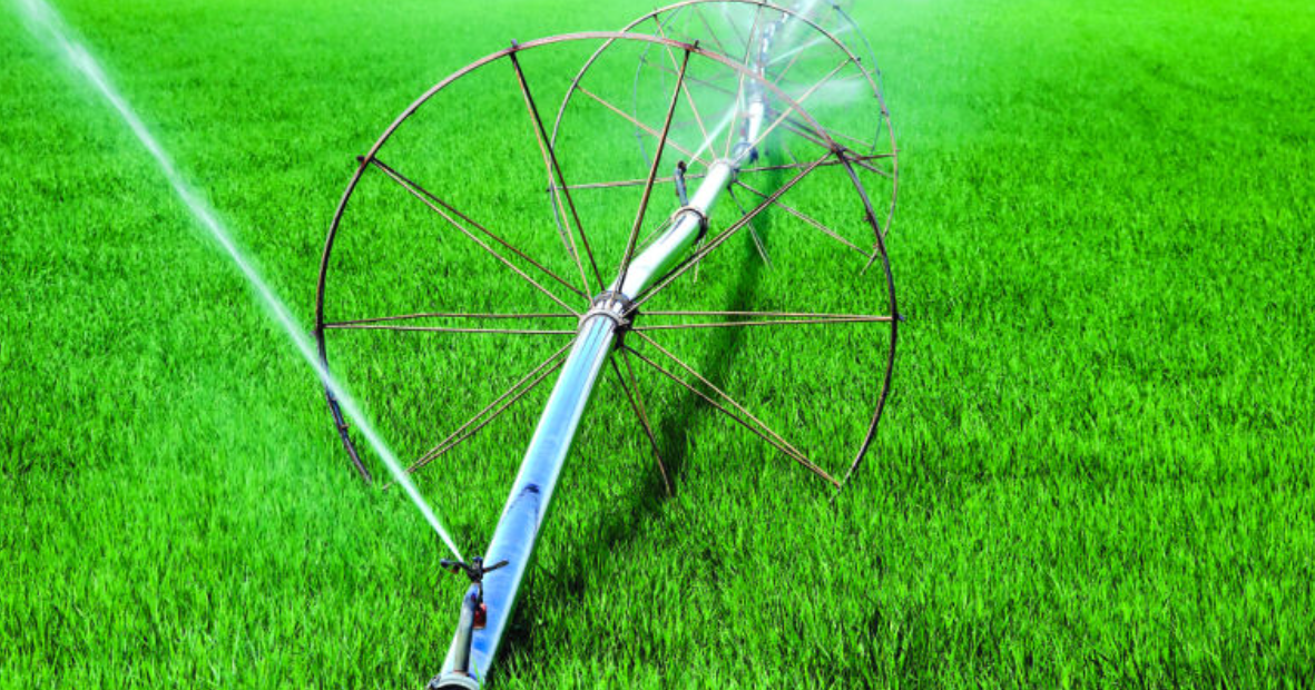 State water curtailment will impact 100,000 acres of farmland in Bingham County - Vimarsana News