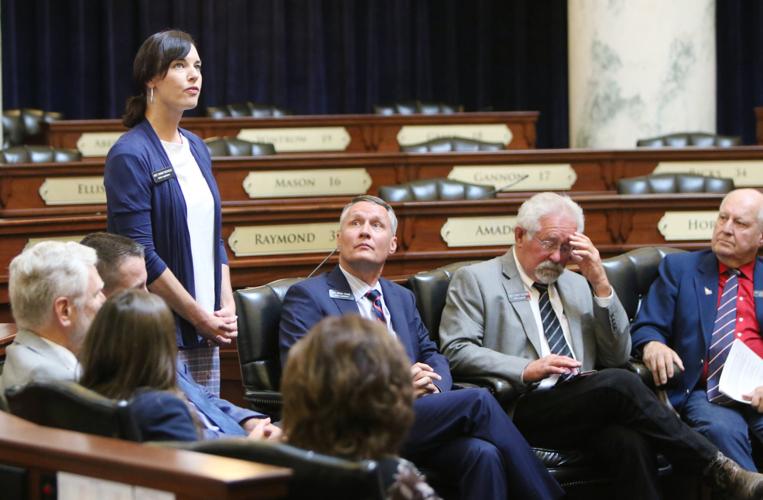 State Legislators unofficial Special Session