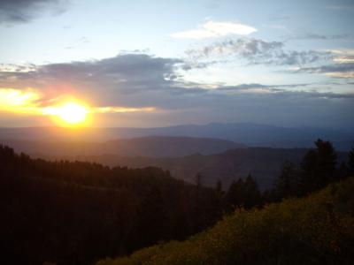 Elk country