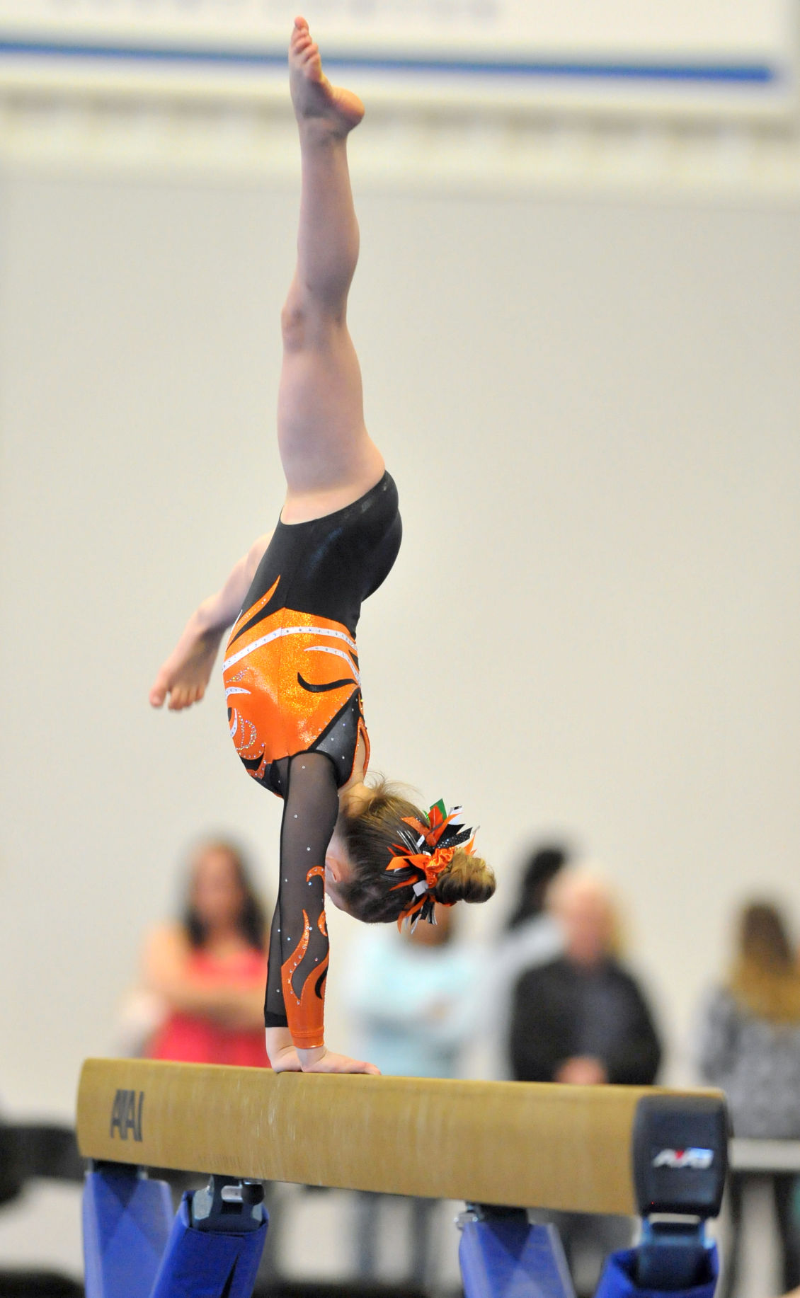 State Gymnastics meet News