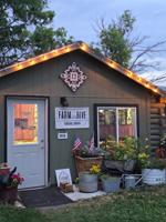 FARM AND HIVE: Returned $2,000 bank bag renews owner's faith in community as small Inkom business eyes big growth