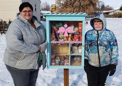 Angel Box Adapts Little Library Concept To Food Pantries Local