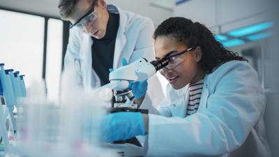Summer STEM Bridge Program
